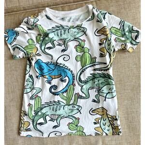 H & M Basic 100% Organic Cotton Short Sleeve T Shirt Tee Dinosaurs Print 6x / 7